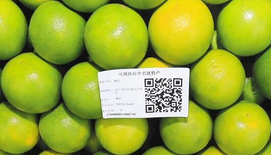 水果追溯管理系统当真能提高消费者信任度吗